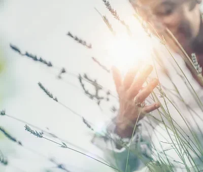 abundance feeling mindful middle aged woman touching lavender flowers feeling thankful