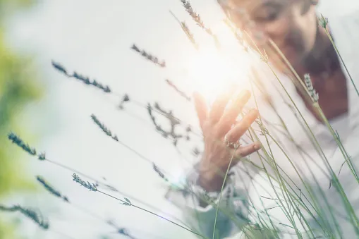 abundance feeling mindful middle aged woman touching lavender flowers feeling thankful