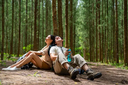 asian couple hiking together in pine tree forest