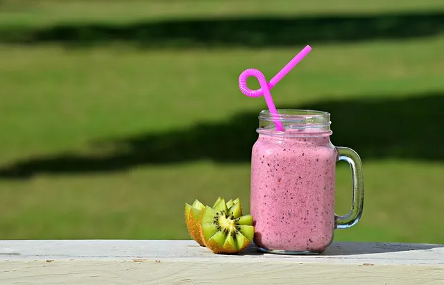 The Smoothie Diet