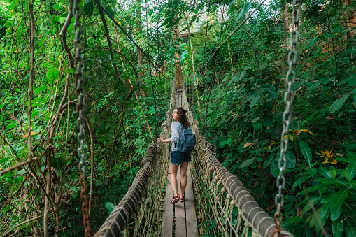 woman walking on rope bridge in lush jungles a